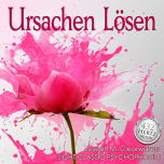 Ursachen Lsen - 432 Hertz | CD